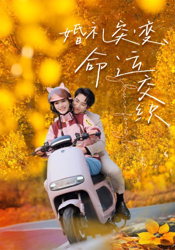 婚礼突变命运交织