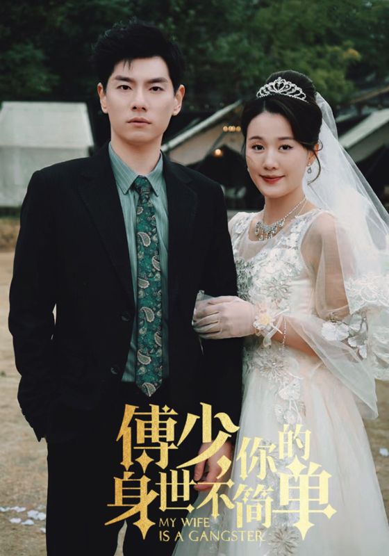 傅少你的身世不简单