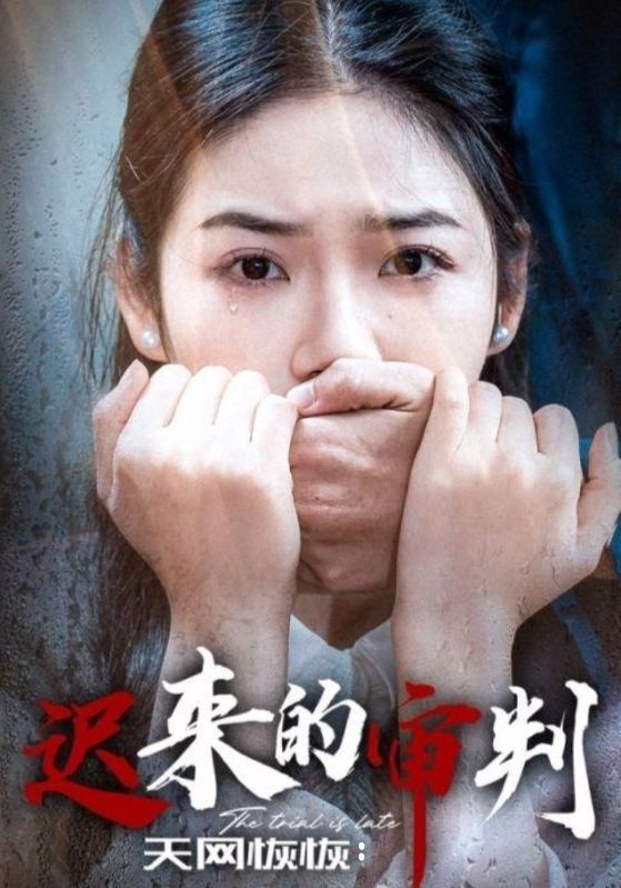 天网恢恢:迟来的审判