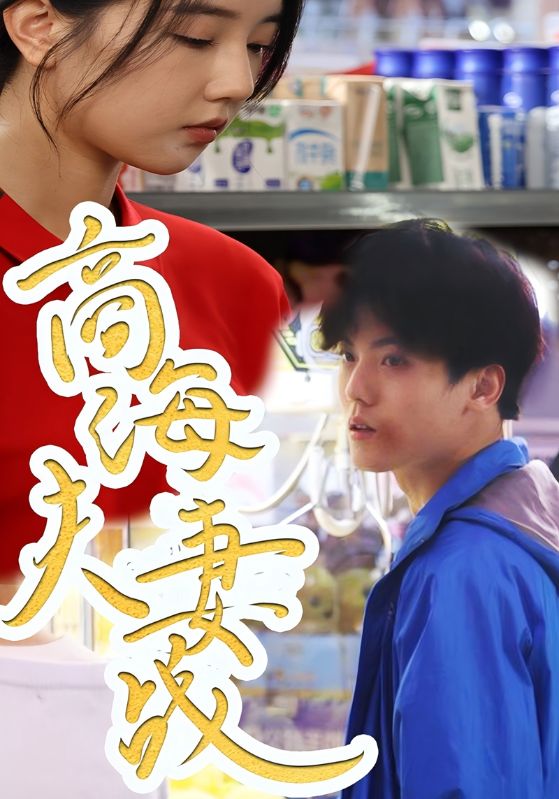 商海夫妻战