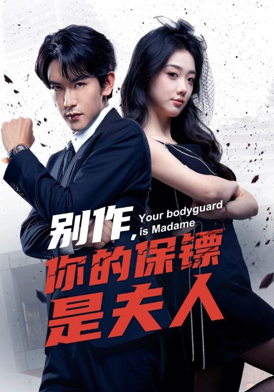 别作你的保镖是夫人