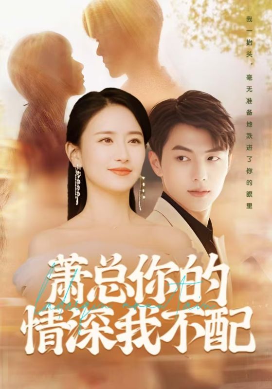 萧总你的情深我不配