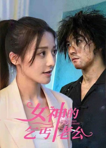 女神的乞丐老公