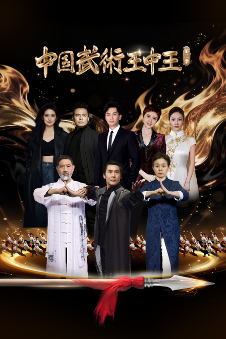 中国武术王中王 第二季