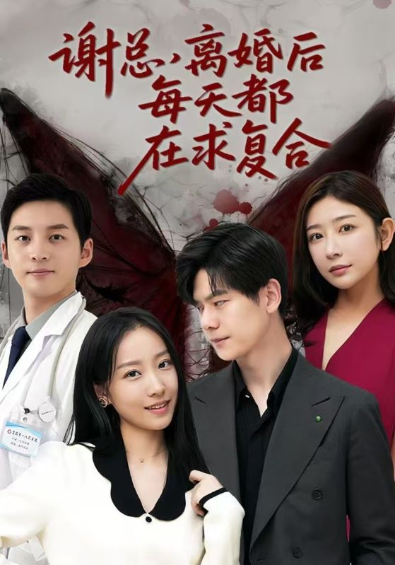 谢总离婚后每天都在求复合