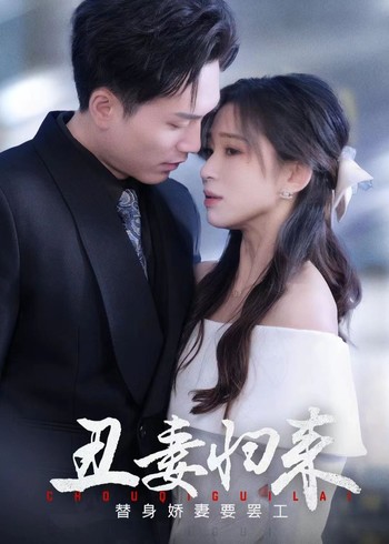 丑妻归来