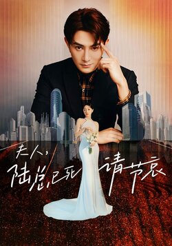 夫人陆总已死请节哀