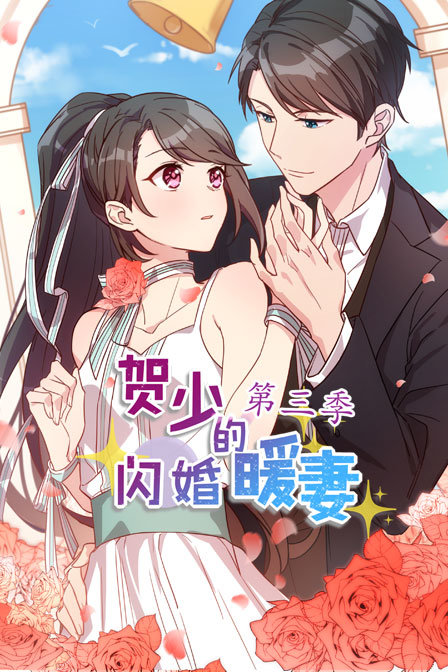 贺少的闪婚暖妻  第三季