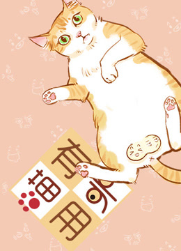 喵有卵用  第二季