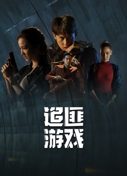 追匪游戏版