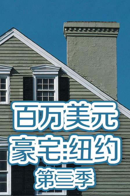 百万美元豪宅:纽约  第三季