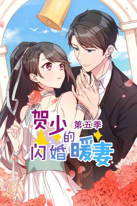 贺少的闪婚暖妻  第五季