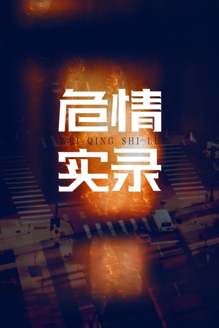 危情实录