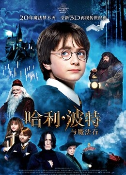 哈利:波特1:魔法石