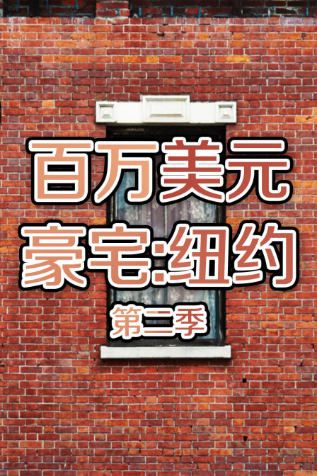 百万美元豪宅:纽约  第二季