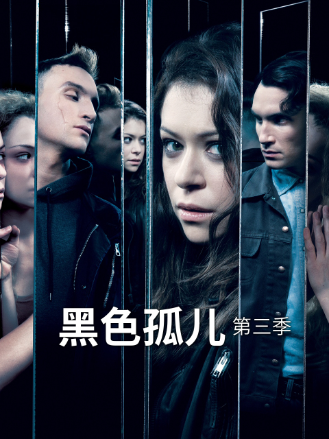 黑色孤儿  第三季
