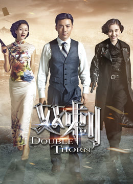 双刺 DVD版