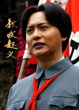 秋收起义 DVD版