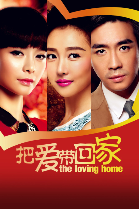 把爱带回家  TV版