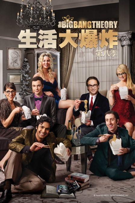 生活大爆炸  第八季