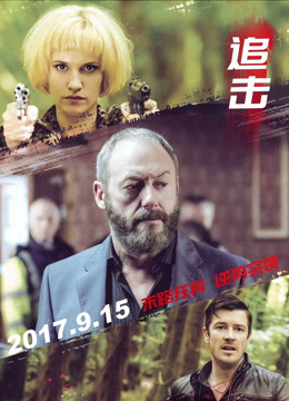 追击