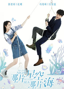 那片星空那片海 DVD版