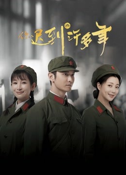你迟到的许多年 DVD版