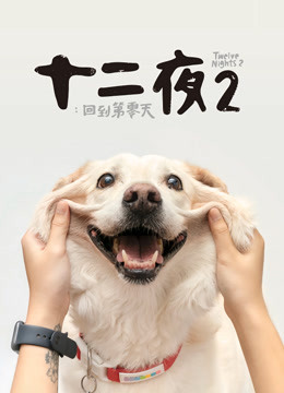 十二夜2:回到第零天