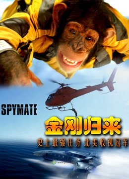 金刚归来