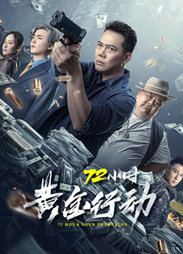 72小时:黄金行动粤语