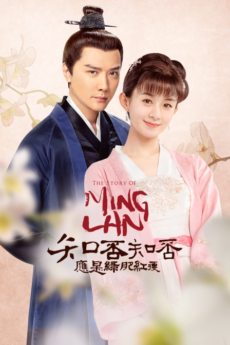 知否知否应是绿肥红瘦  DVD版