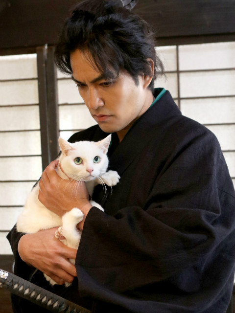 猫侍  第二季