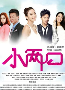 小两口 DVD版