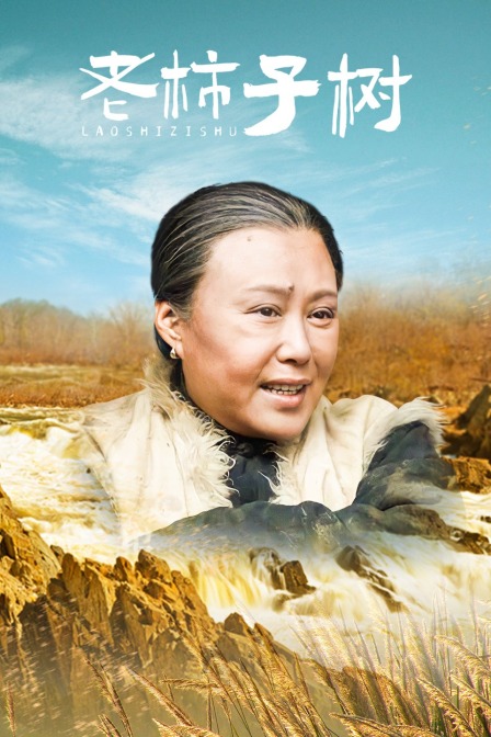 老柿子树
