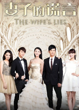 妻子的谎言 DVD版