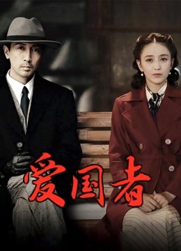 爱国者 DVD版