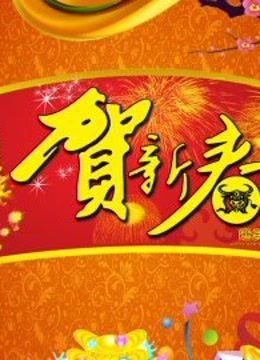 北京B TV版春晚