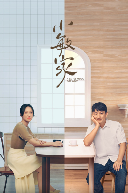 小敏家  DVD版