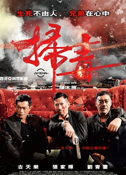 扫毒 粤语