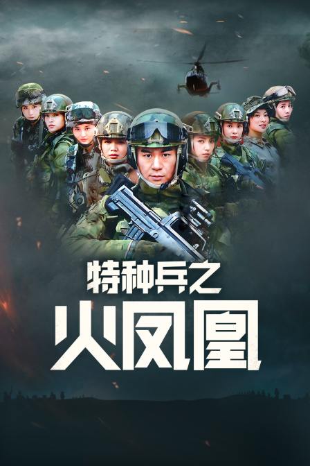 特种兵之火凤凰  DVD版