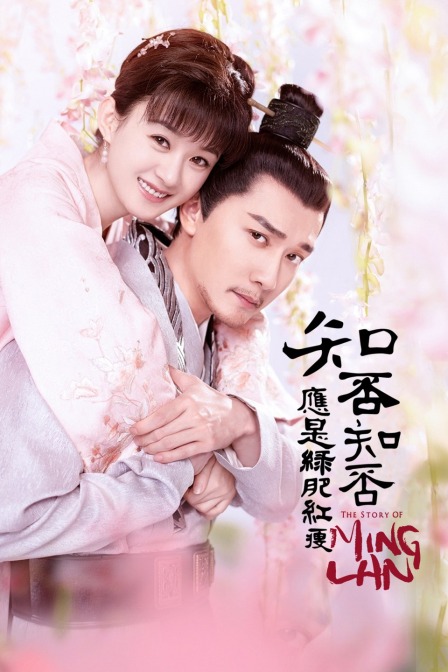 知否知否应是绿肥红瘦  TV版