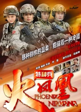 特种兵之火凤凰 DVD版