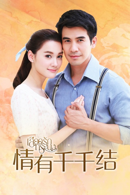 情有千千结  DVD版