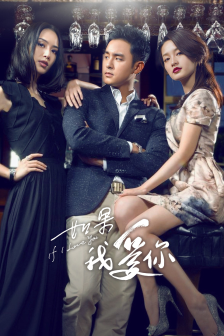 如果我爱你  TV版