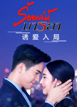 诱爱入局版