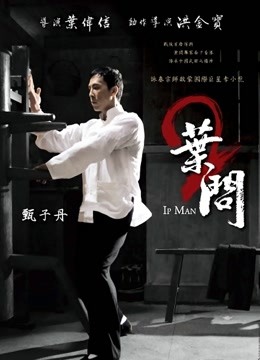叶问2:宗师传奇
