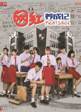 网红养成记版