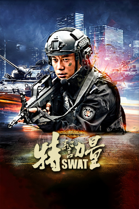 特警力量  DVD版