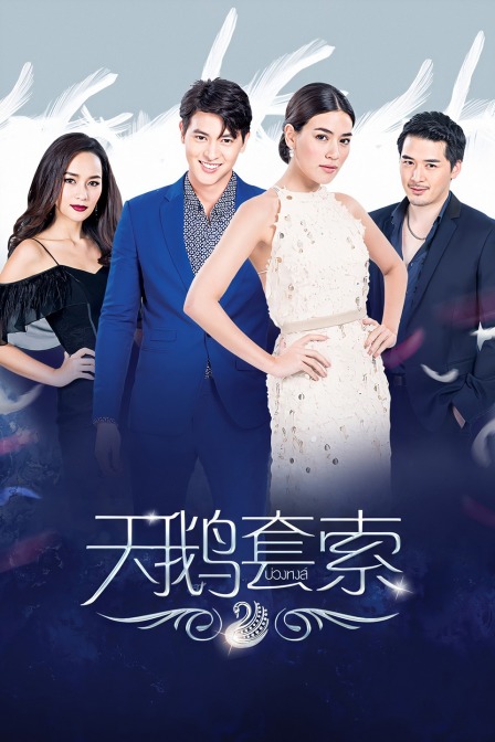 天鹅套索  DVD版