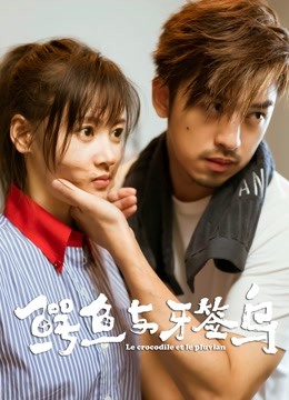 鳄鱼与牙签鸟 DVD版